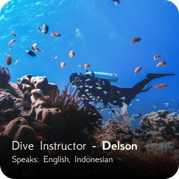 dive team - delson