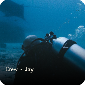dive team - jay