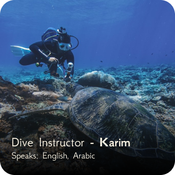dive team - karim