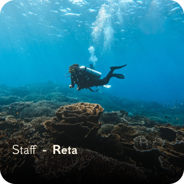 dive team - reta