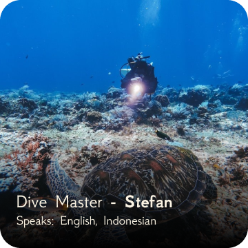 dive team - stefan