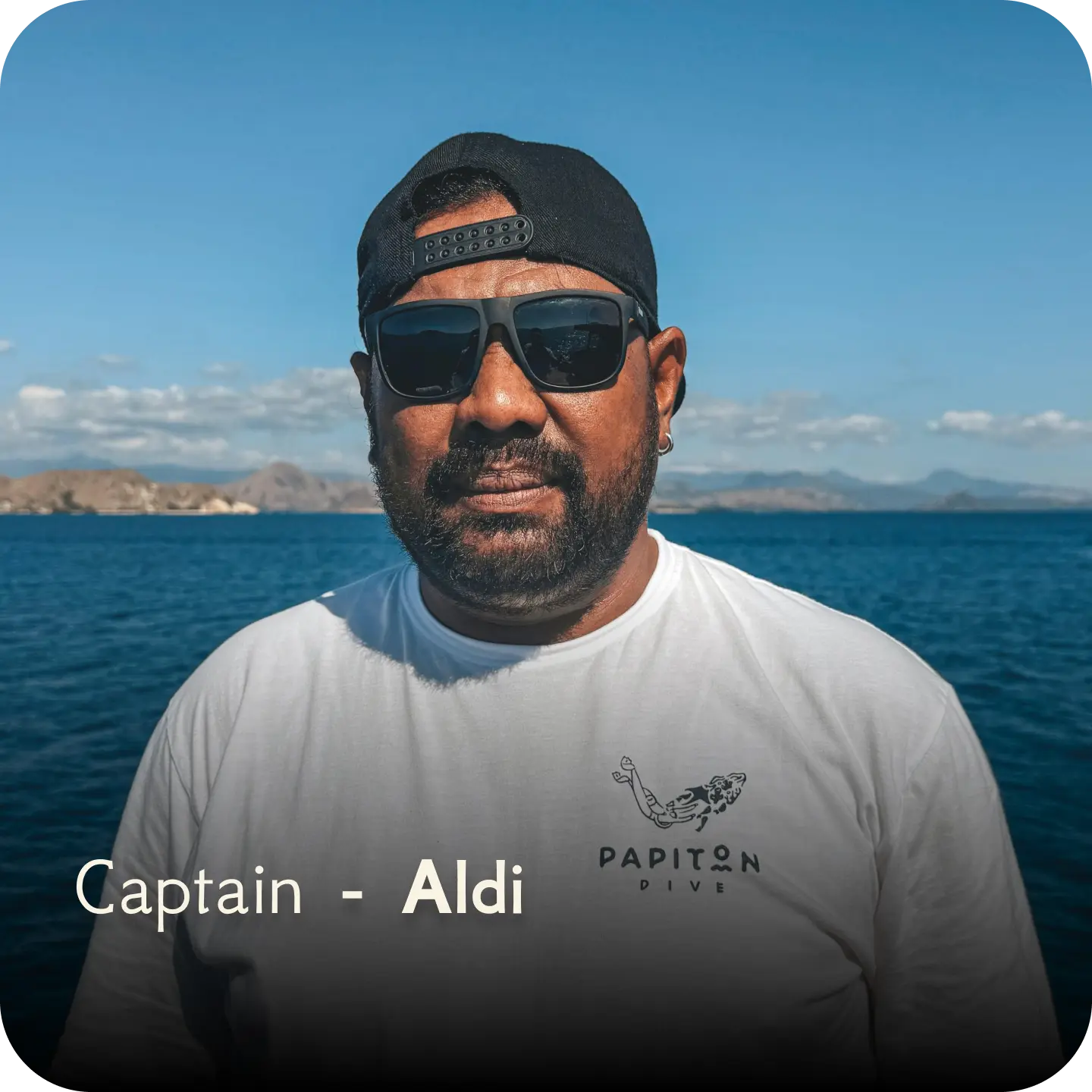dive team - aldi