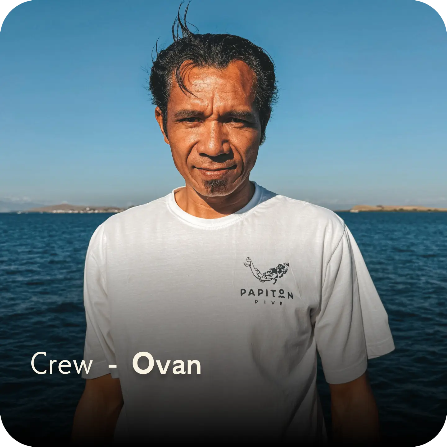 dive team - ovan