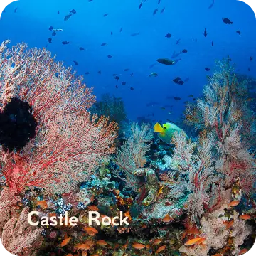 ds-castle rock
