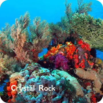ds-crystal rock