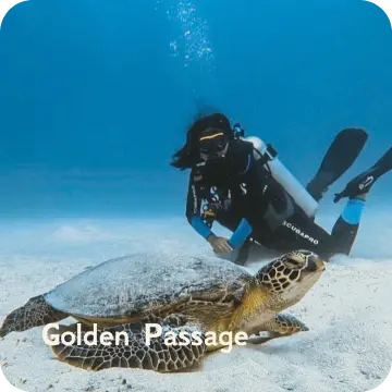 ds-golden passage