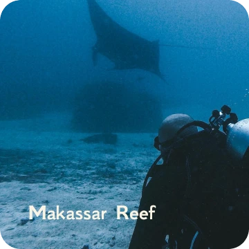 ds-makassar reef