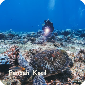 ds-pengah kecil