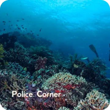 ds-police corner
