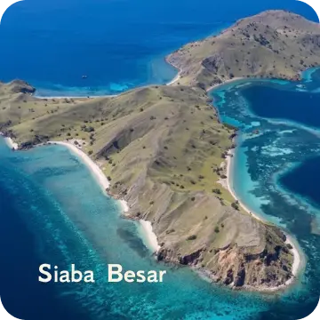ds-siaba besar