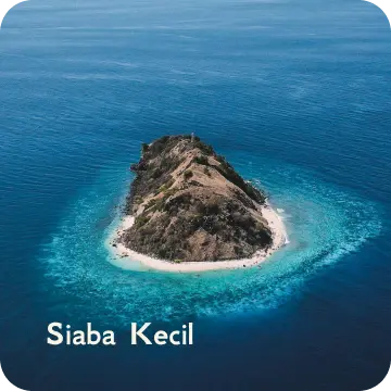 ds-siaba kecil