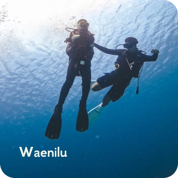 ds-waenilu
