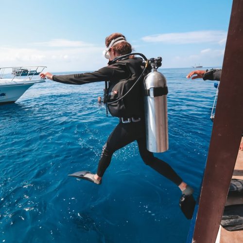 Beginner to Pro Diver