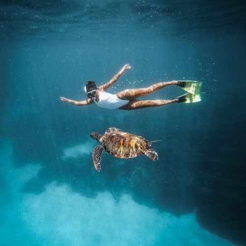 Exploring Komodo